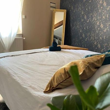 Appartement De Charme 80M2 Givors Bagian luar foto