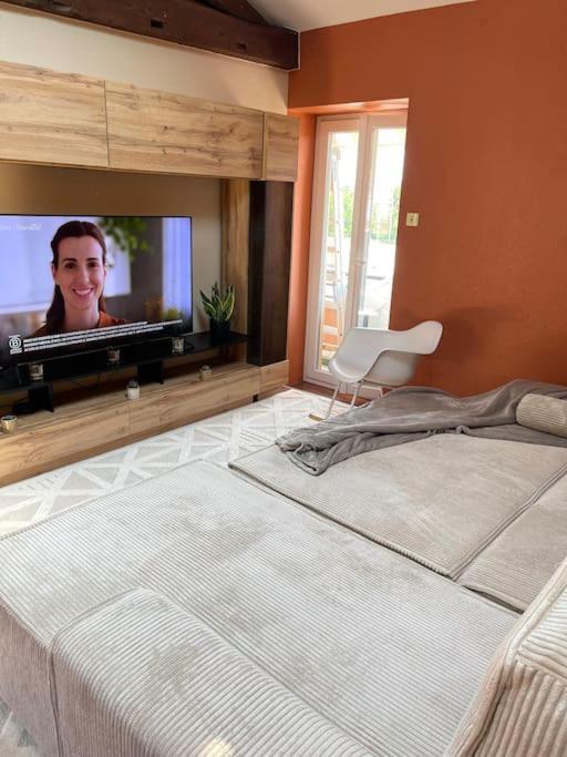 Appartement De Charme 80M2 Givors Bagian luar foto