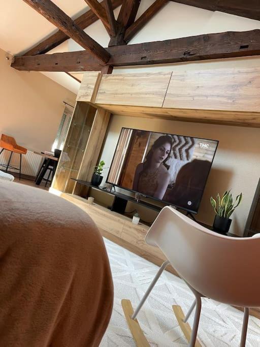 Appartement De Charme 80M2 Givors Bagian luar foto