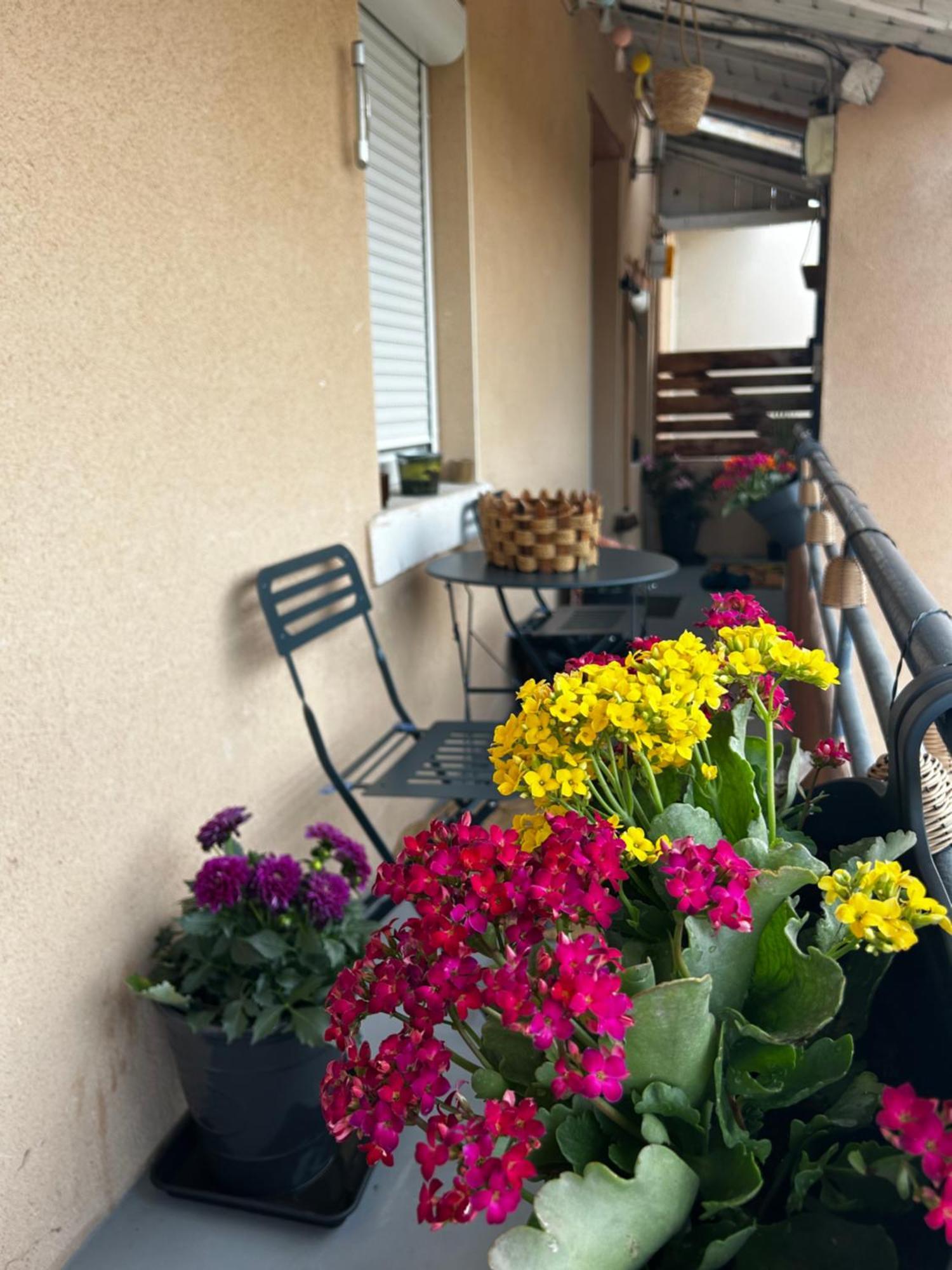 Appartement De Charme 80M2 Givors Bagian luar foto